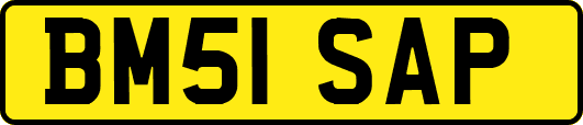 BM51SAP