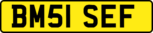 BM51SEF