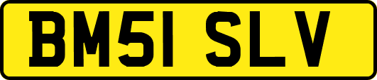 BM51SLV