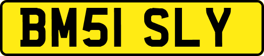 BM51SLY