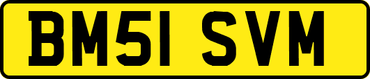 BM51SVM