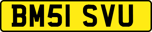 BM51SVU