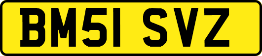 BM51SVZ