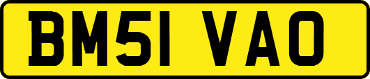 BM51VAO