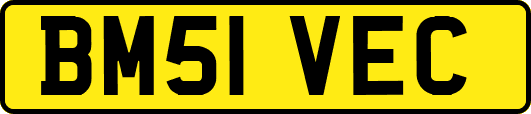 BM51VEC