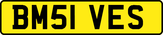 BM51VES