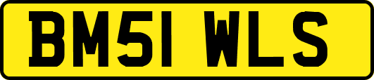 BM51WLS