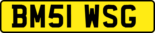 BM51WSG