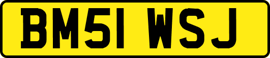 BM51WSJ