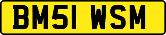 BM51WSM