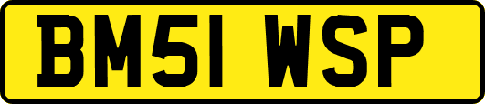 BM51WSP