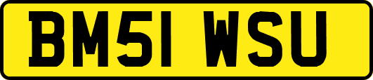 BM51WSU
