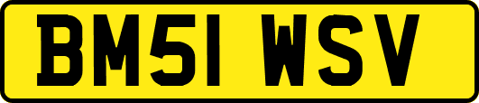 BM51WSV