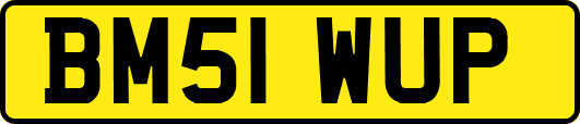 BM51WUP