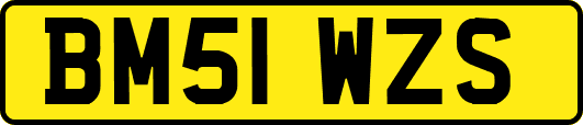 BM51WZS