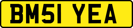 BM51YEA