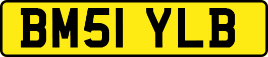 BM51YLB