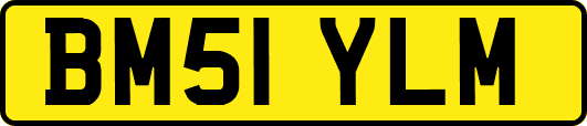 BM51YLM
