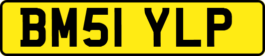 BM51YLP