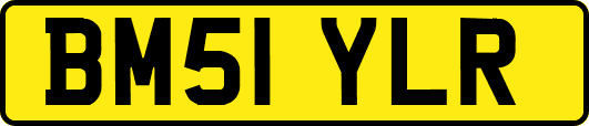 BM51YLR