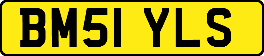 BM51YLS