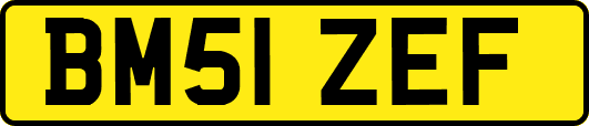 BM51ZEF
