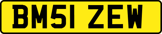 BM51ZEW