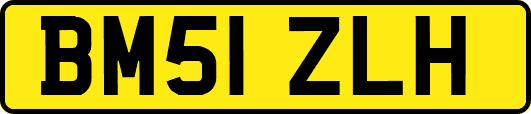 BM51ZLH