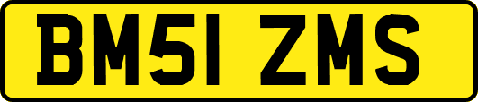 BM51ZMS