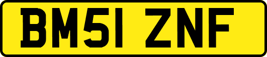 BM51ZNF