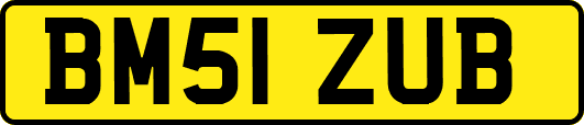BM51ZUB