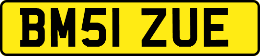 BM51ZUE