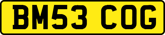 BM53COG