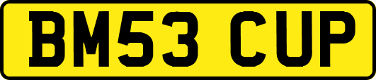 BM53CUP