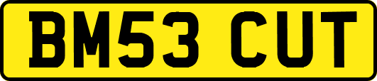 BM53CUT