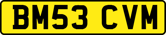BM53CVM