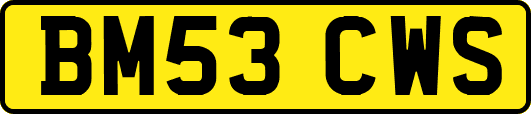 BM53CWS