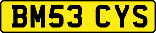 BM53CYS