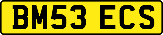 BM53ECS
