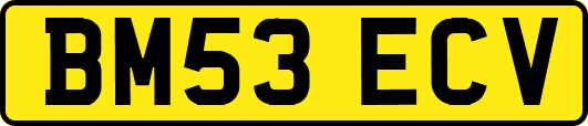 BM53ECV