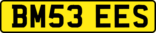 BM53EES