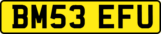 BM53EFU