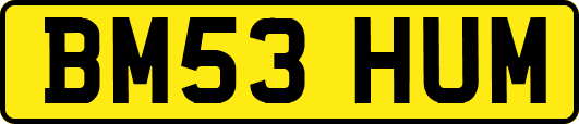 BM53HUM