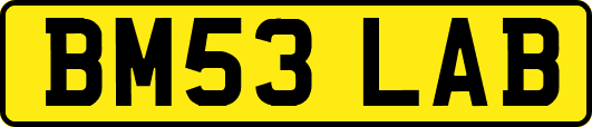 BM53LAB