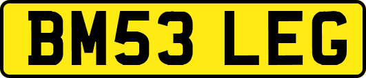 BM53LEG