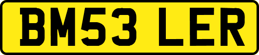 BM53LER