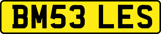 BM53LES