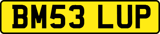 BM53LUP
