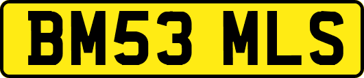 BM53MLS