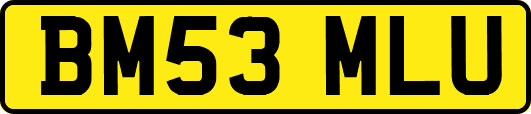 BM53MLU